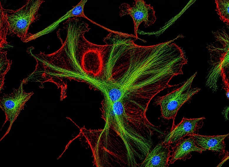 Advanced Research Microscopy